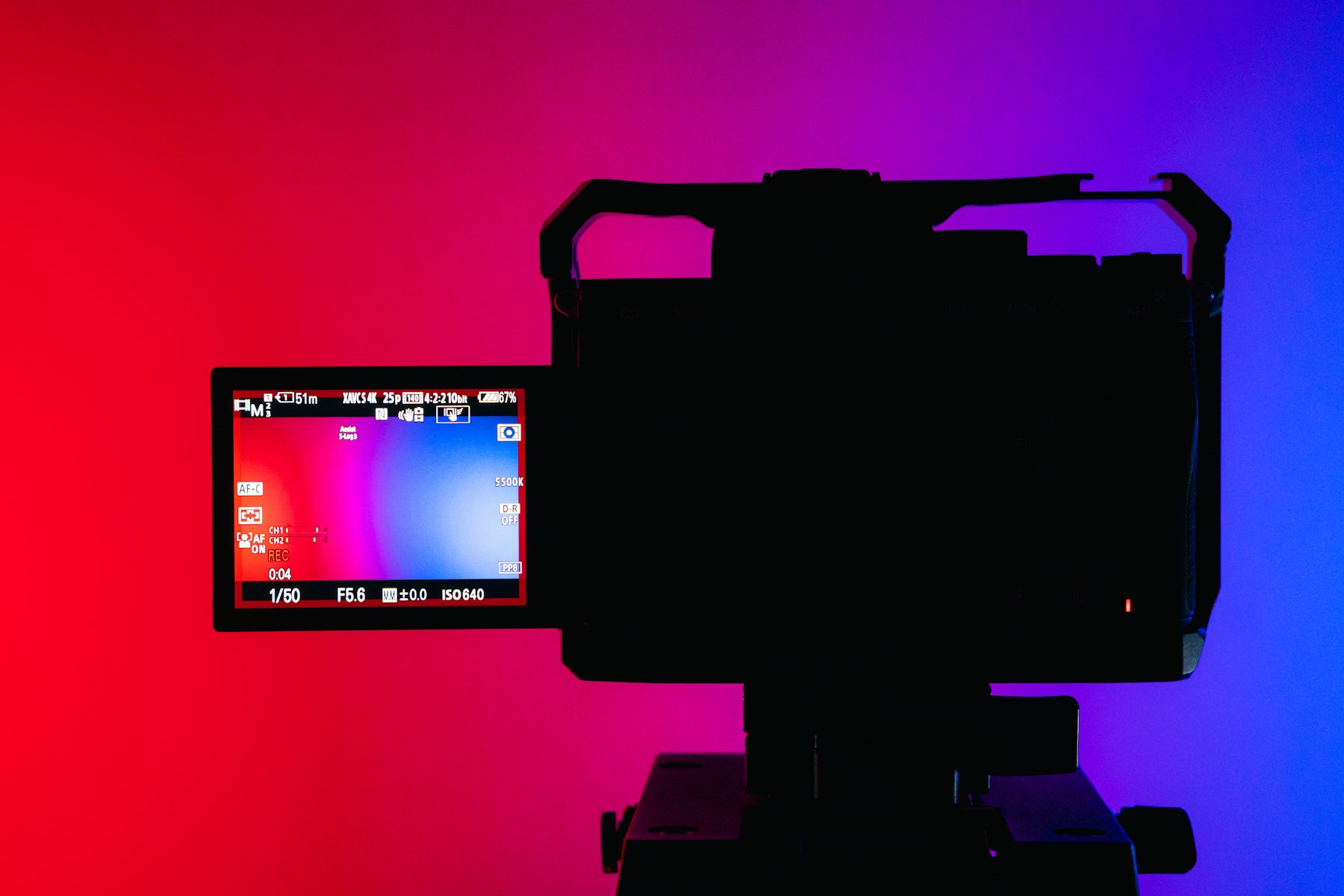 Camera with a thermal imaging display